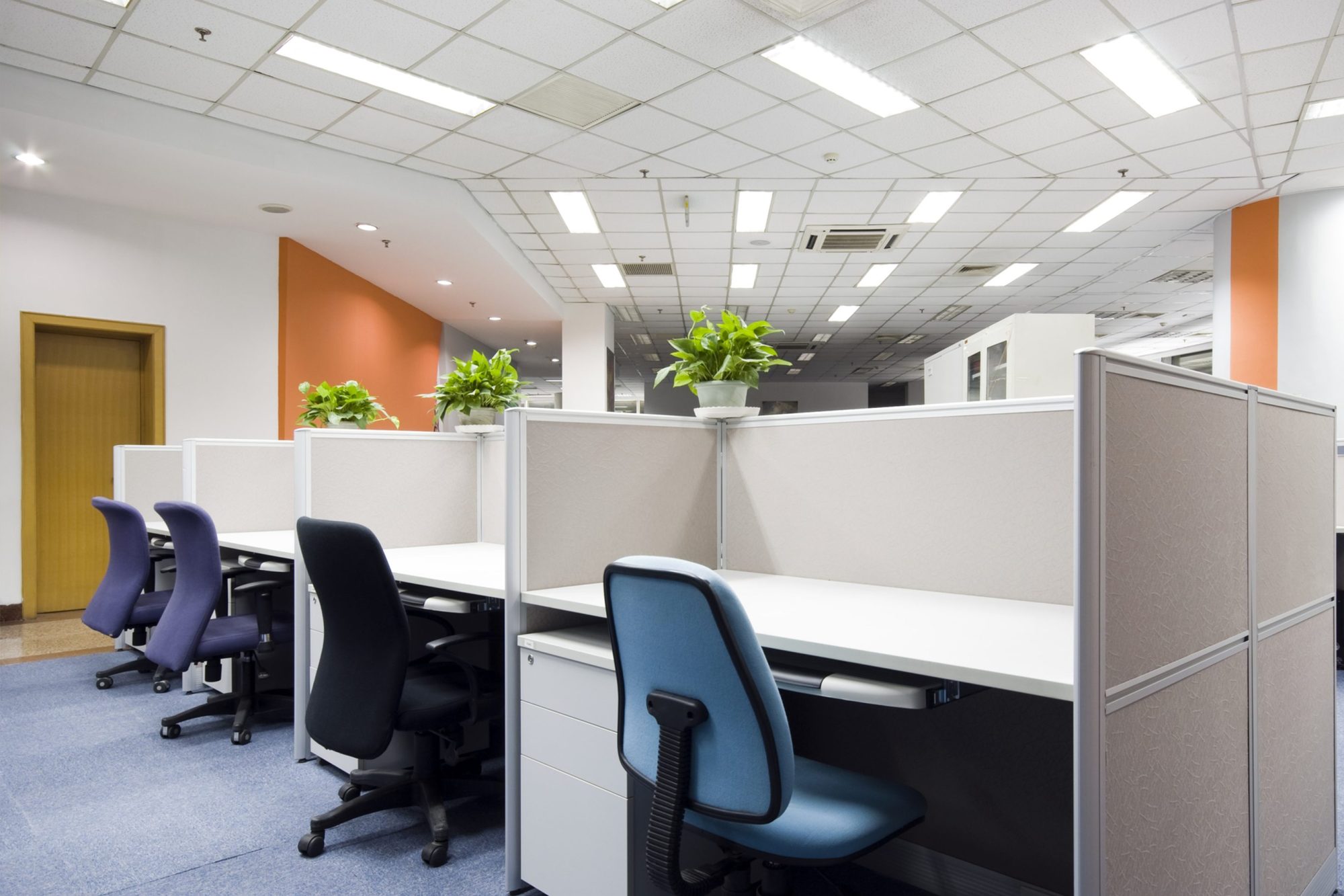 cleaning office