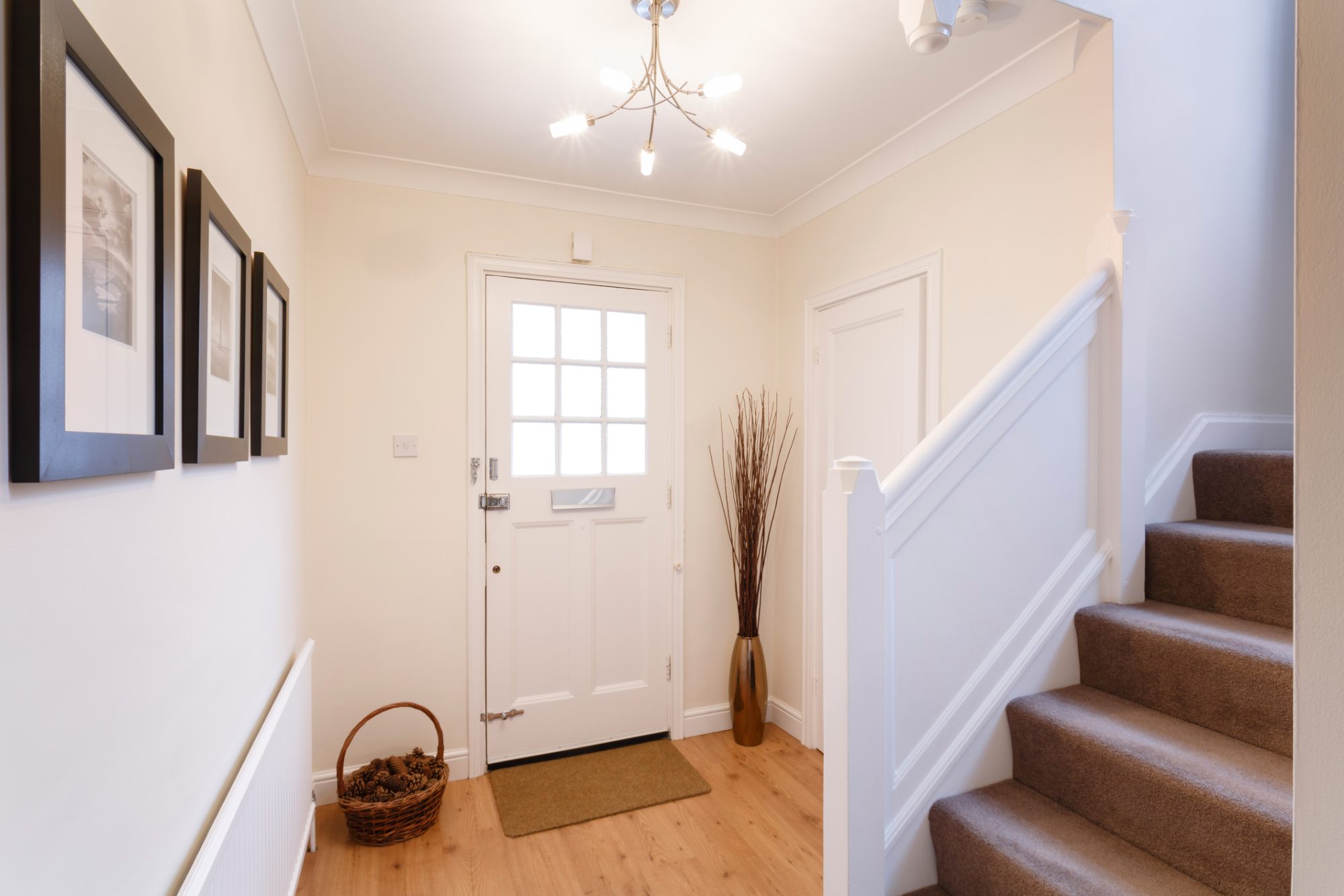 Domestic Cleaning Services