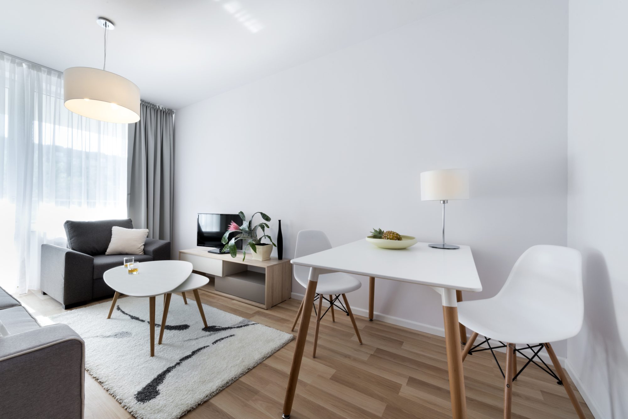 Domestic Cleaning Services